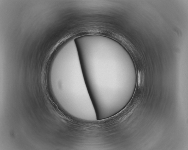 X0000113860723200909241025