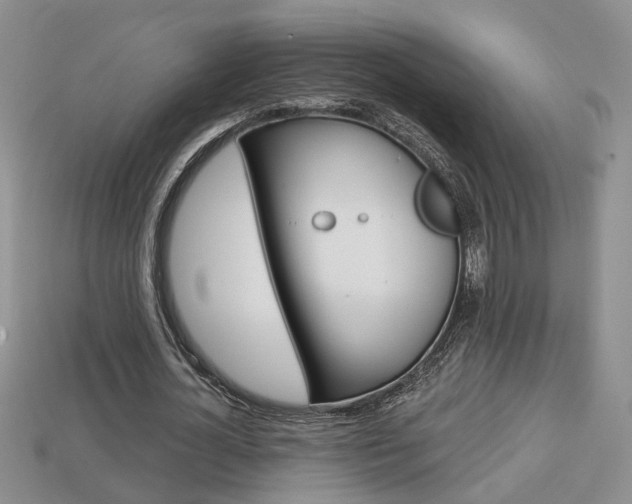X0000113860724200909241025