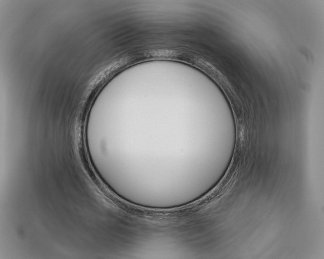 X0000113860725200909241025