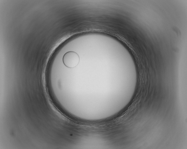 X0000113860726200909241025