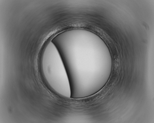 X0000113860727200909241025