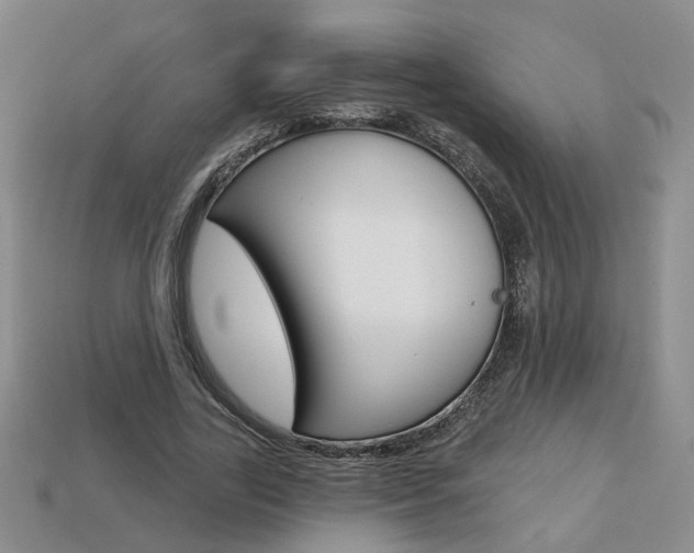 X0000113860731200909241025