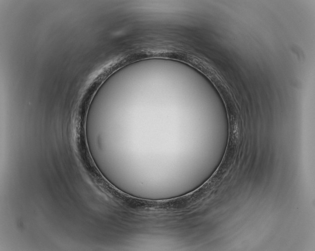 X0000113860732200909241025