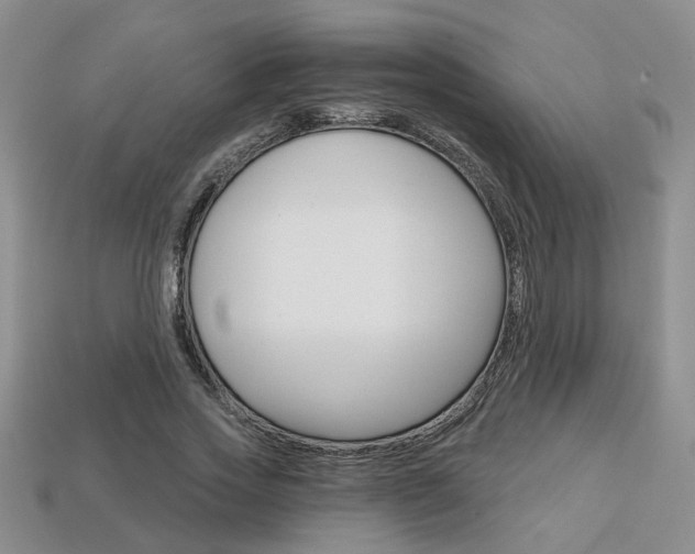 X0000113860733200909241025