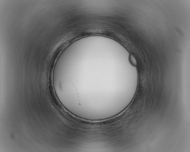 X0000113860735200909241025