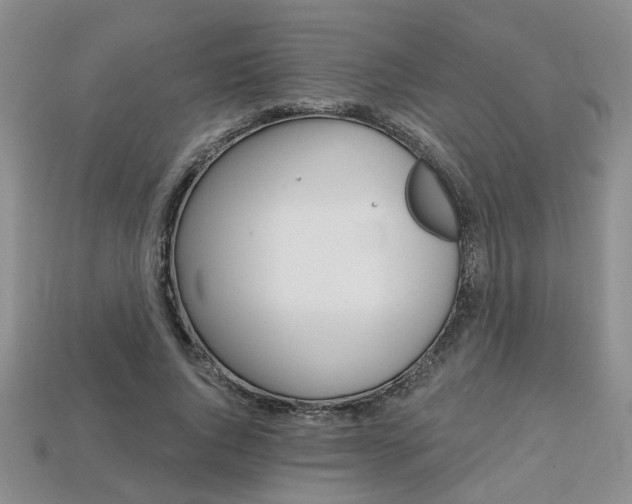 X0000113860736200909241025