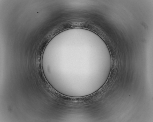 X0000113860737200909241025