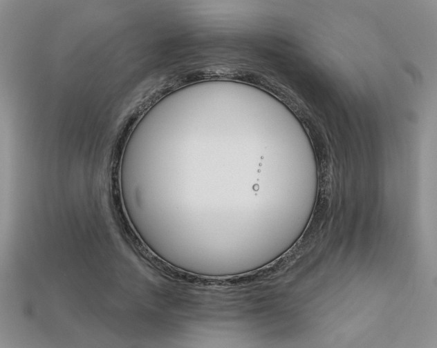 X0000113860738200909241025