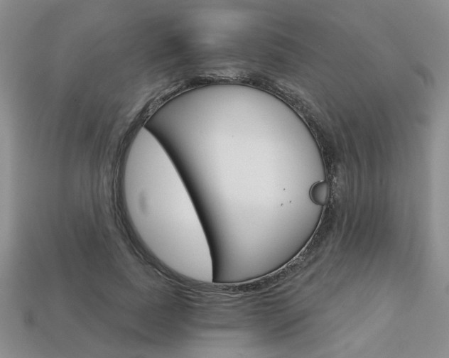 X0000113860739200909241025