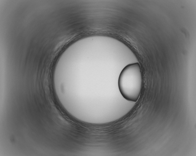 X0000113860740200909241025