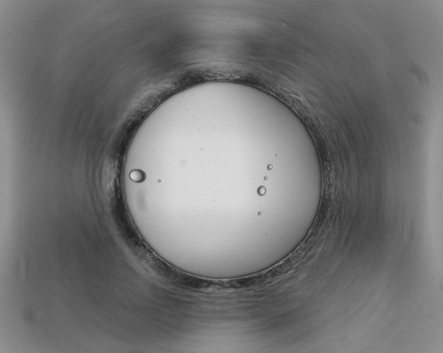 X0000113860742200909241025