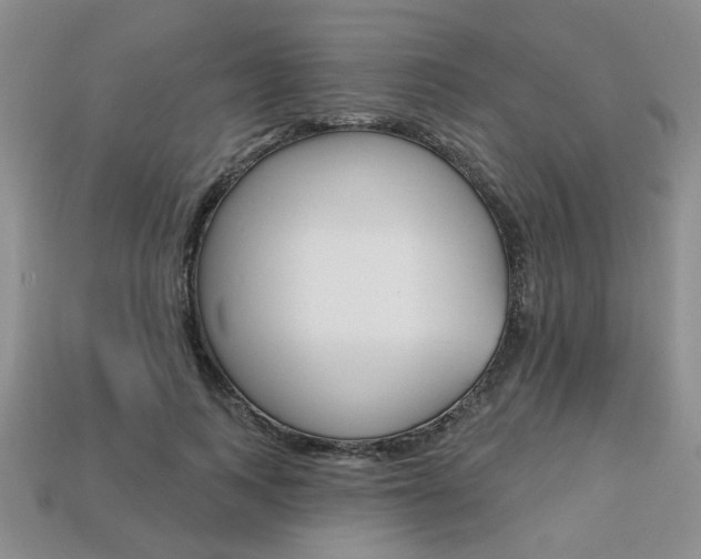 X0000113860743200909241025