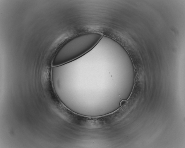 X0000113860744200909241025