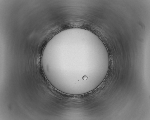 X0000113860745200909241025
