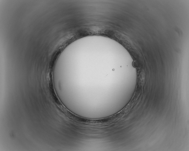 X0000113860746200909241025