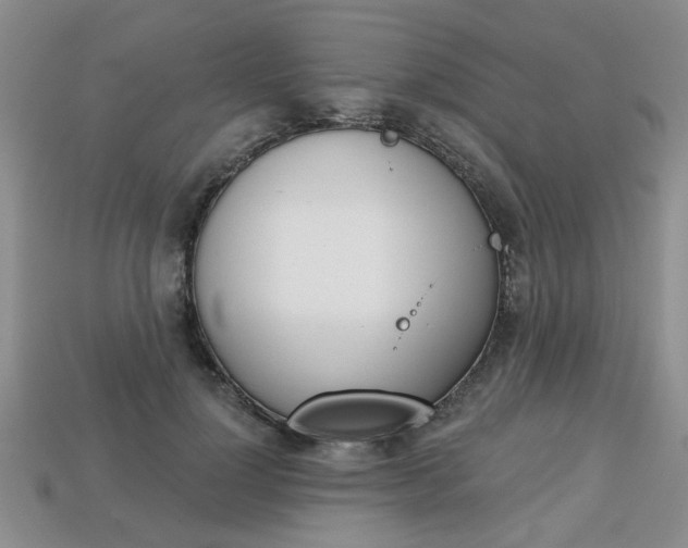 X0000113860748200909241025