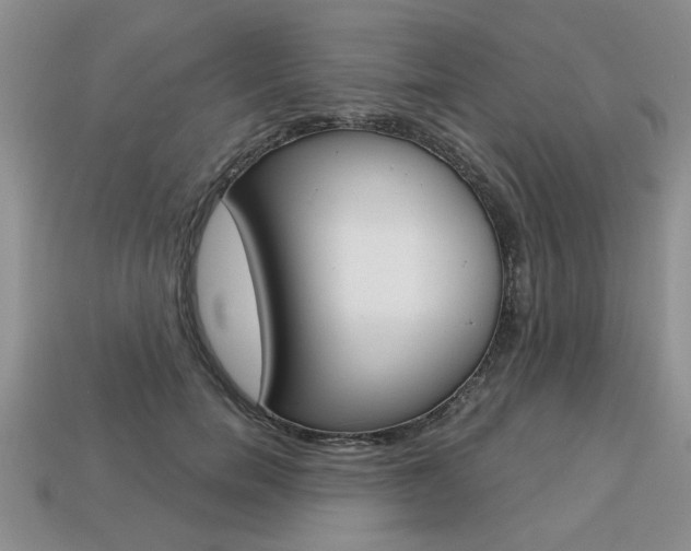 X0000113860750200909241025