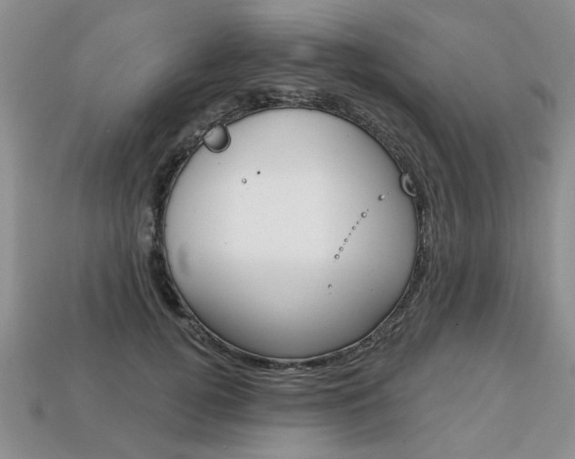 X0000113860752200909241025