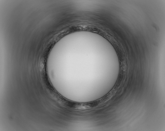 X0000113860754200909241025