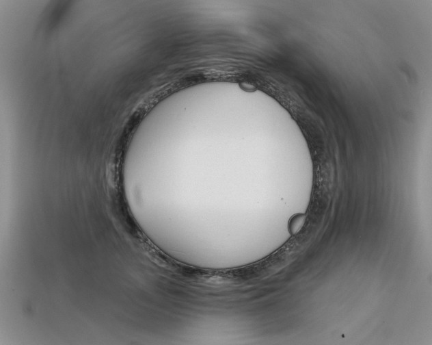 X0000113860755200909241025
