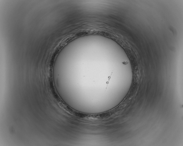 X0000113860756200909241025