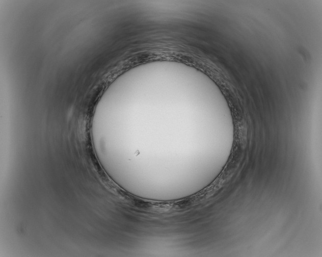 X0000113860757200909241025