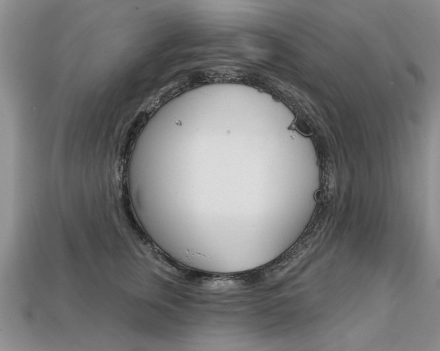 X0000113860759200909241025