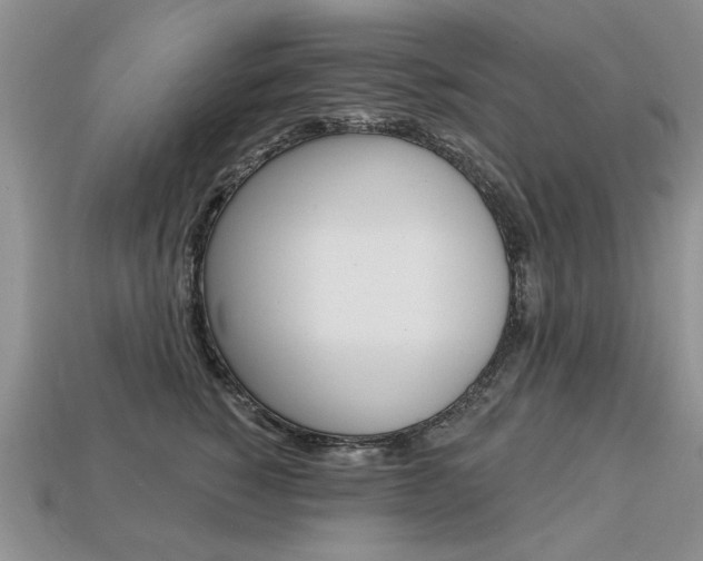 X0000113860760200909241025