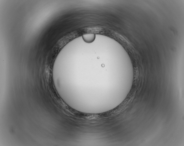 X0000113860761200909241025
