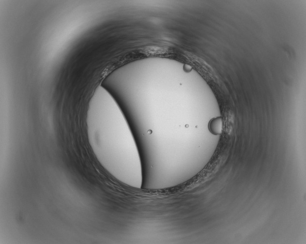 X0000113860763200909241025