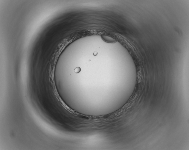 X0000113860764200909241025