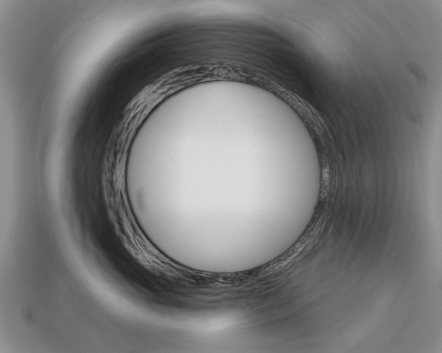 X0000113860765200909241025