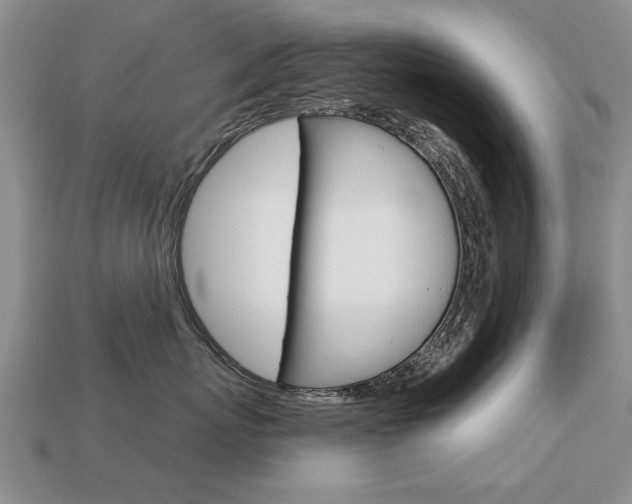 X0000113860767200909241025