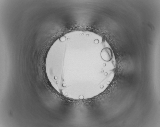 X0000113860769200909241025