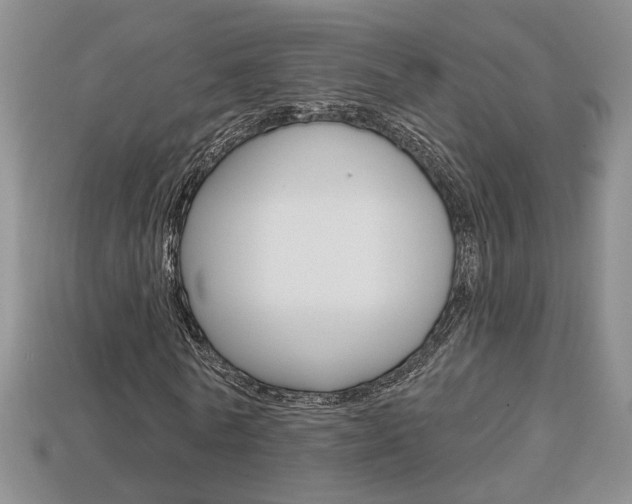 X0000113860770200909241025
