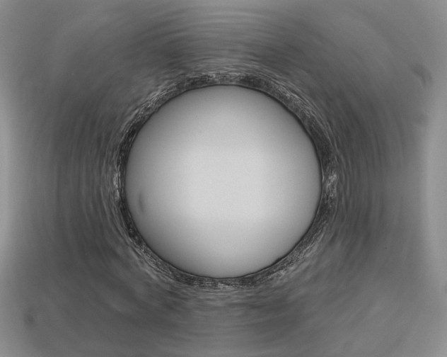 X0000113860772200909241024