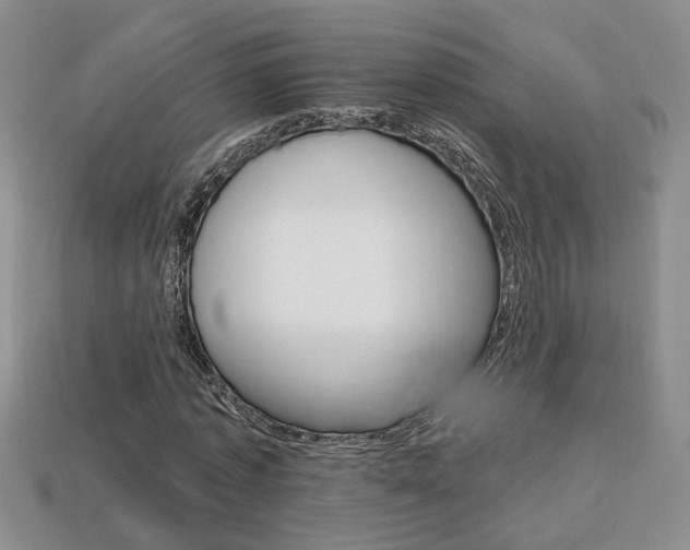 X0000113860773200909241024