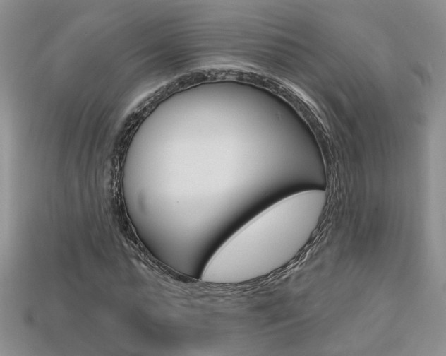 X0000113860775200909241024