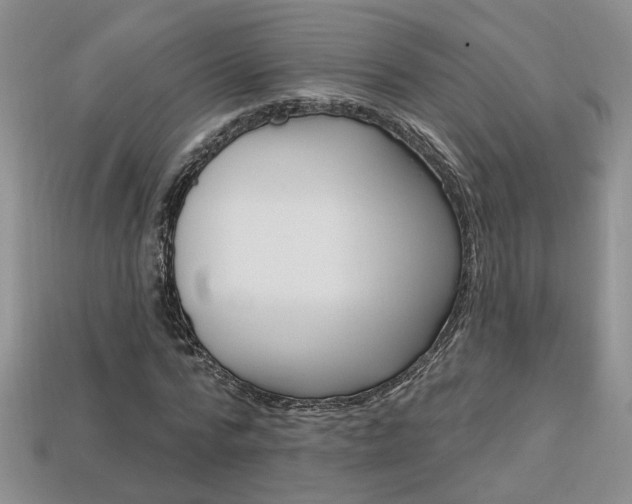 X0000113860776200909241024