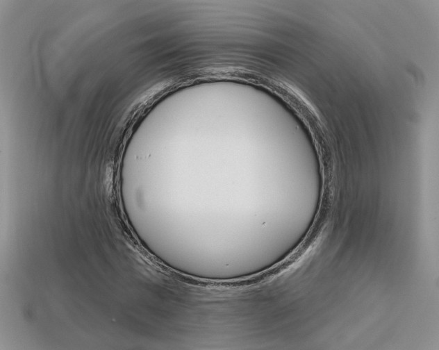 X0000113860777200909241024
