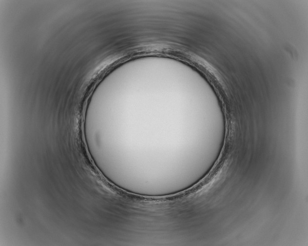 X0000113860778200909241024