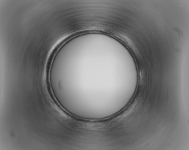 X0000113860780200909241024