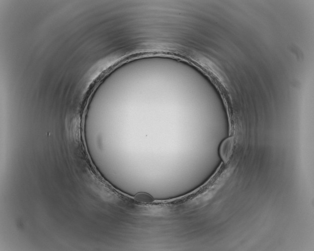 X0000113860781200909241024