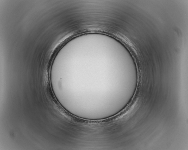 X0000113860782200909241024