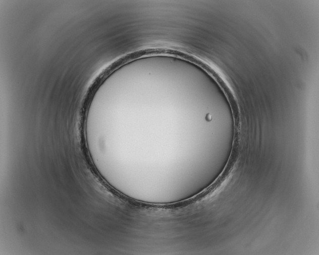 X0000113860783200909241024