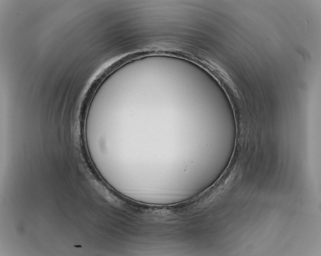 X0000113860784200909241024