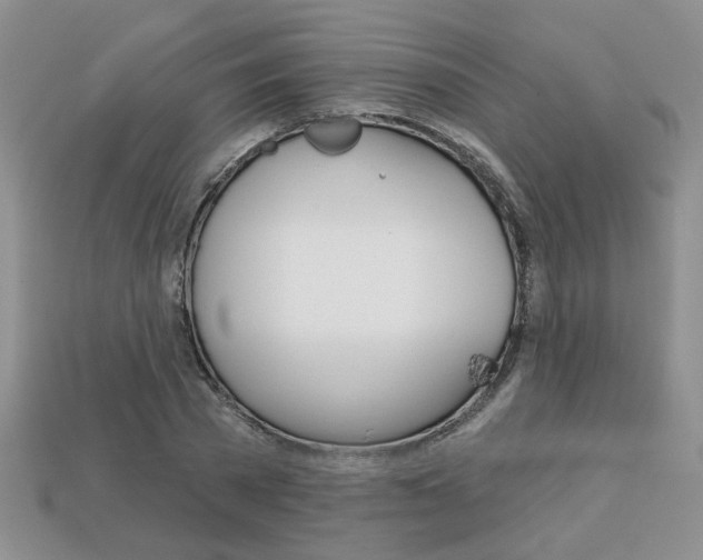 X0000113860785200909241024