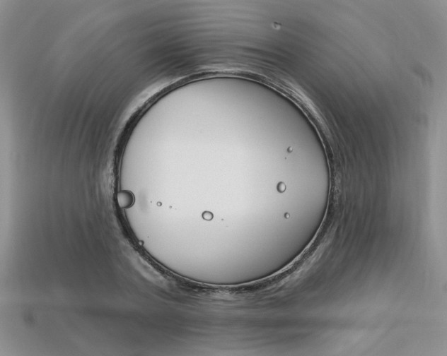 X0000113860787200909241024