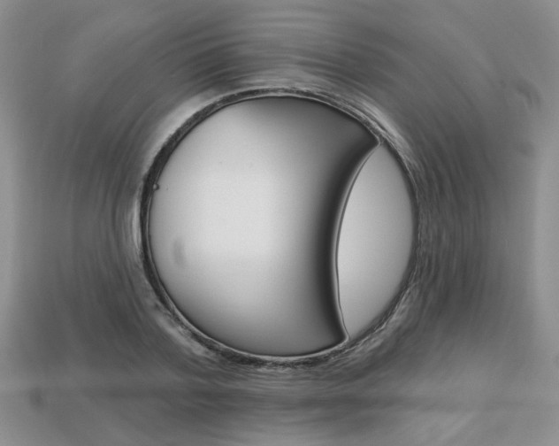 X0000113860788200909241024