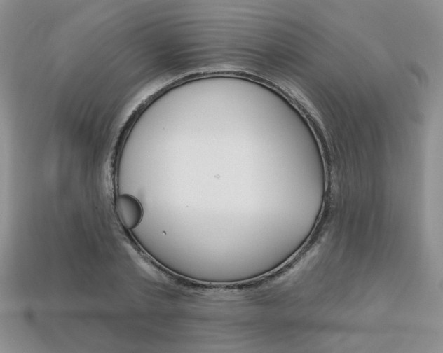 X0000113860789200909241024